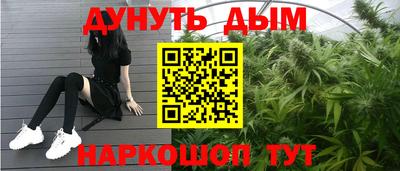 индика Котовск