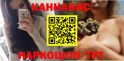 индика Котовск
