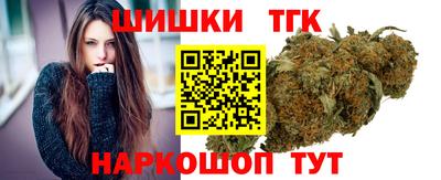 индика Котовск