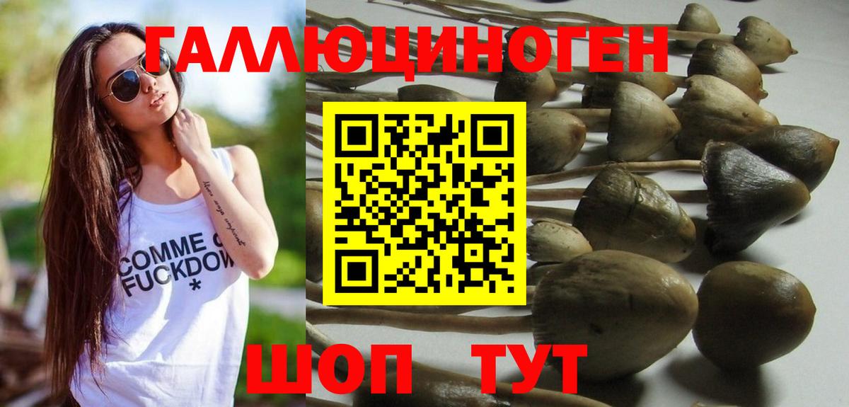Галлюциногенные грибы Magic Shrooms  Галлюциногенные грибы ЛСД  Советская Гавань  Вход с VPN 