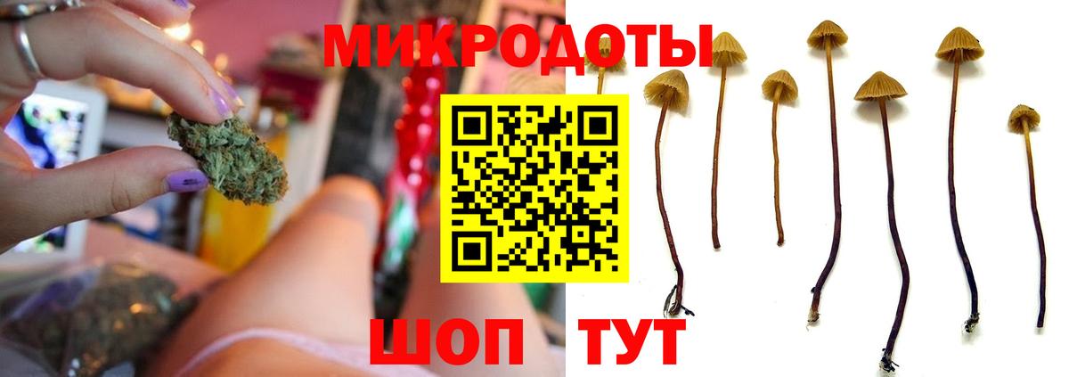 Псилоцибиновые грибы мухоморы Советская Гавань